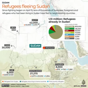 Refugees feeling Sudan