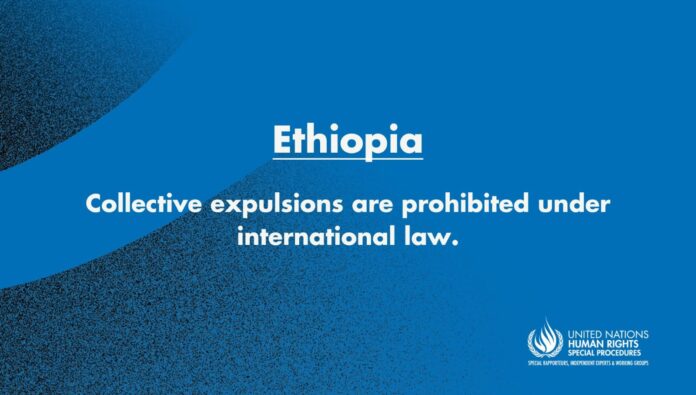 UN experts urge Ethiopia